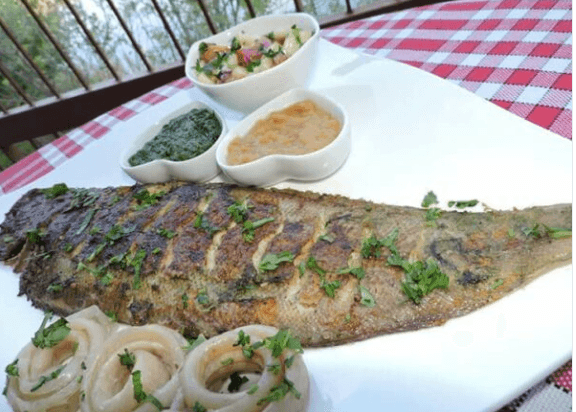 Grilled fish garnished with herbs, served with sauces and salad on a white plate.